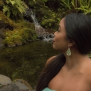 Solid Mixed Maui Sun Drops