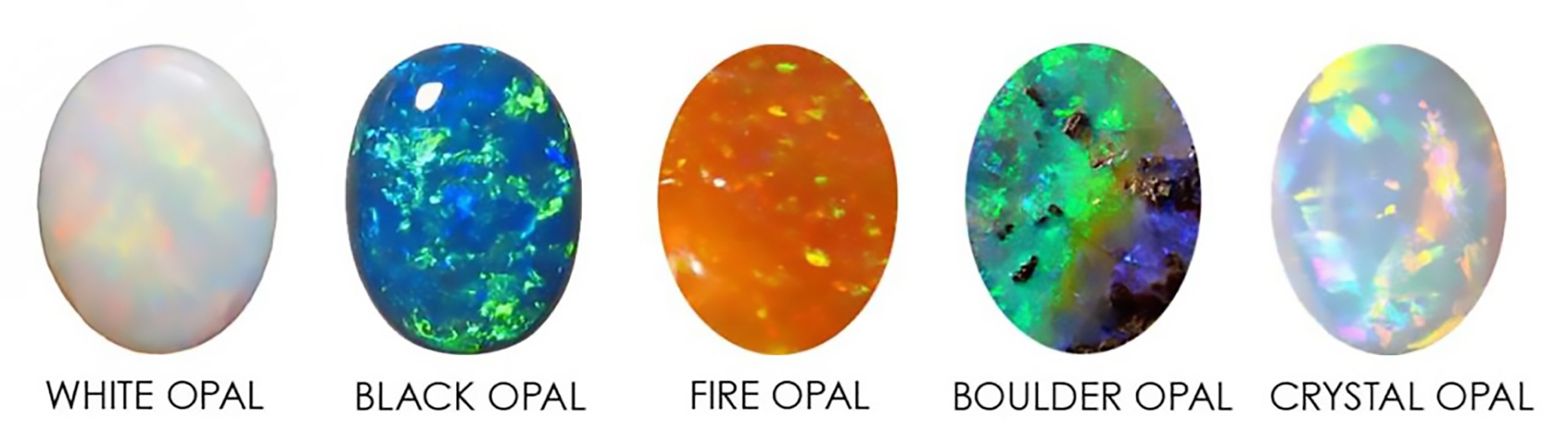 Types of sale opal with pictures